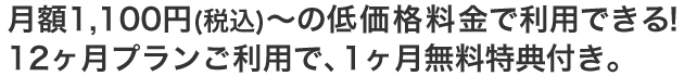 月額1,100円～の低価格料金で利用できる！12ヶ月プランご利用で、1ヶ月無料特典付き。